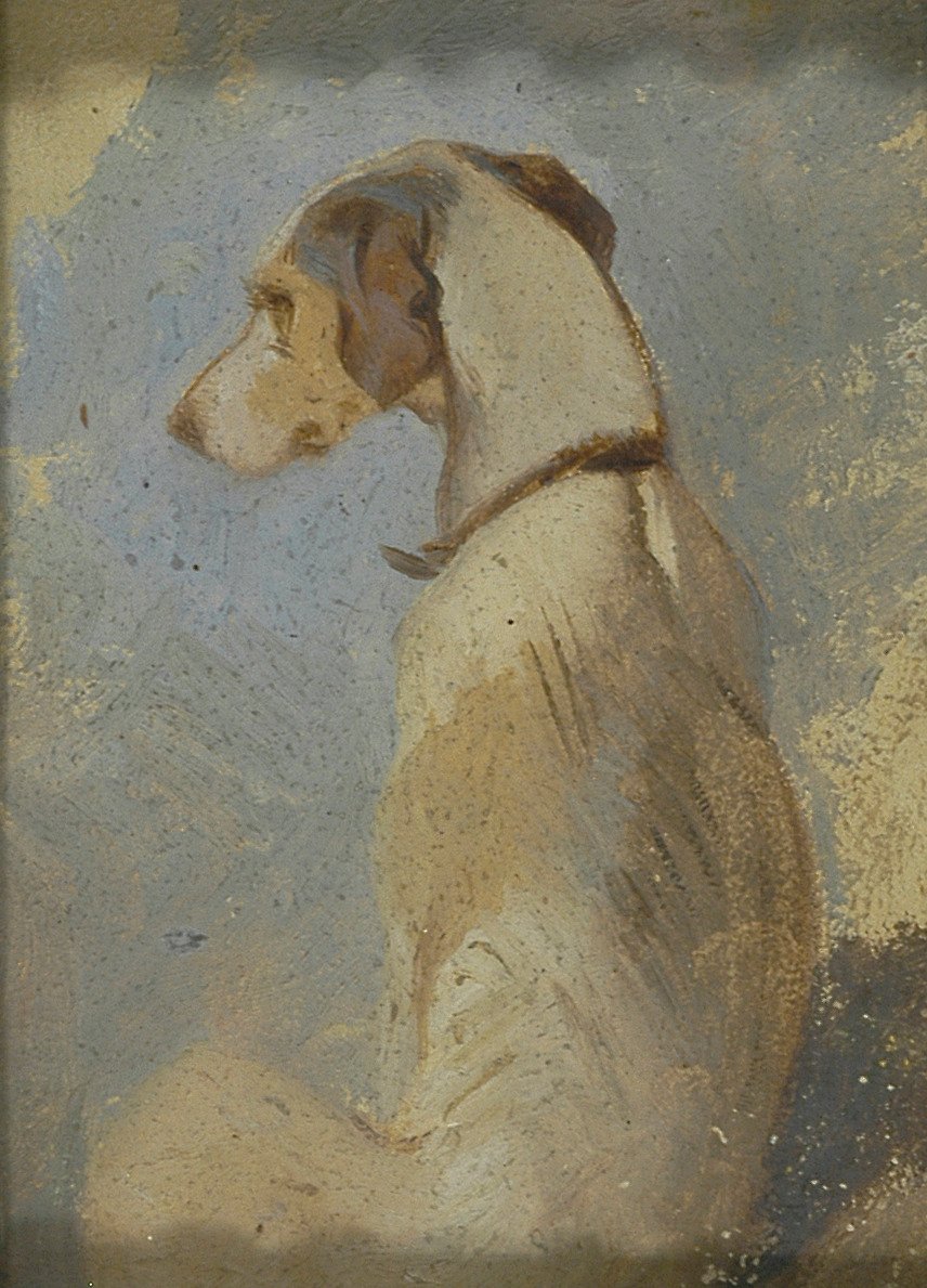 Studie av en greyhound av Sir Edwin Henry Landseer