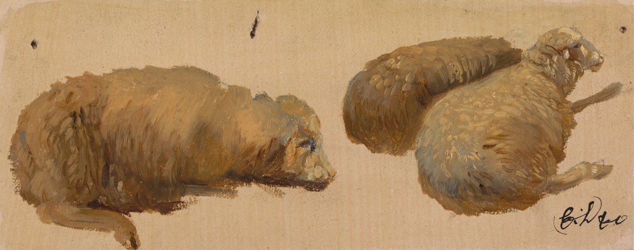 Tre sauer i ro av Sir Edwin Henry Landseer