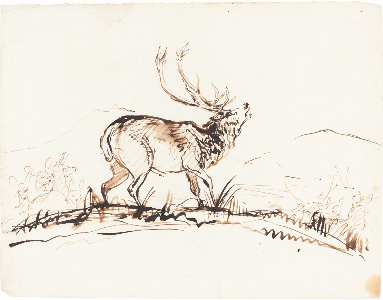 En brølende hjort av Sir Edwin Landseer