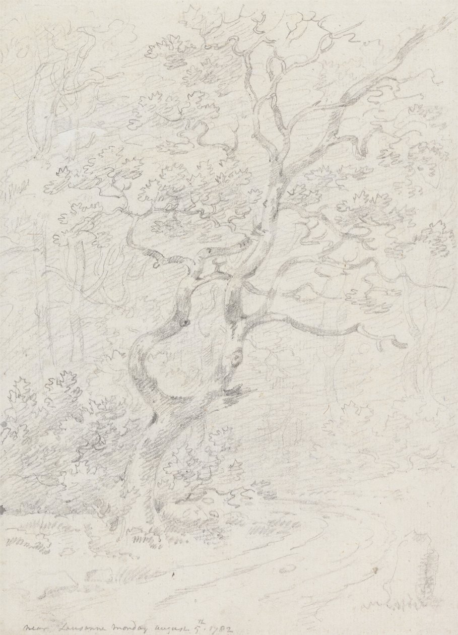 Trær, nær Lausanne av Sir George Howland Beaumont seventh Baronet