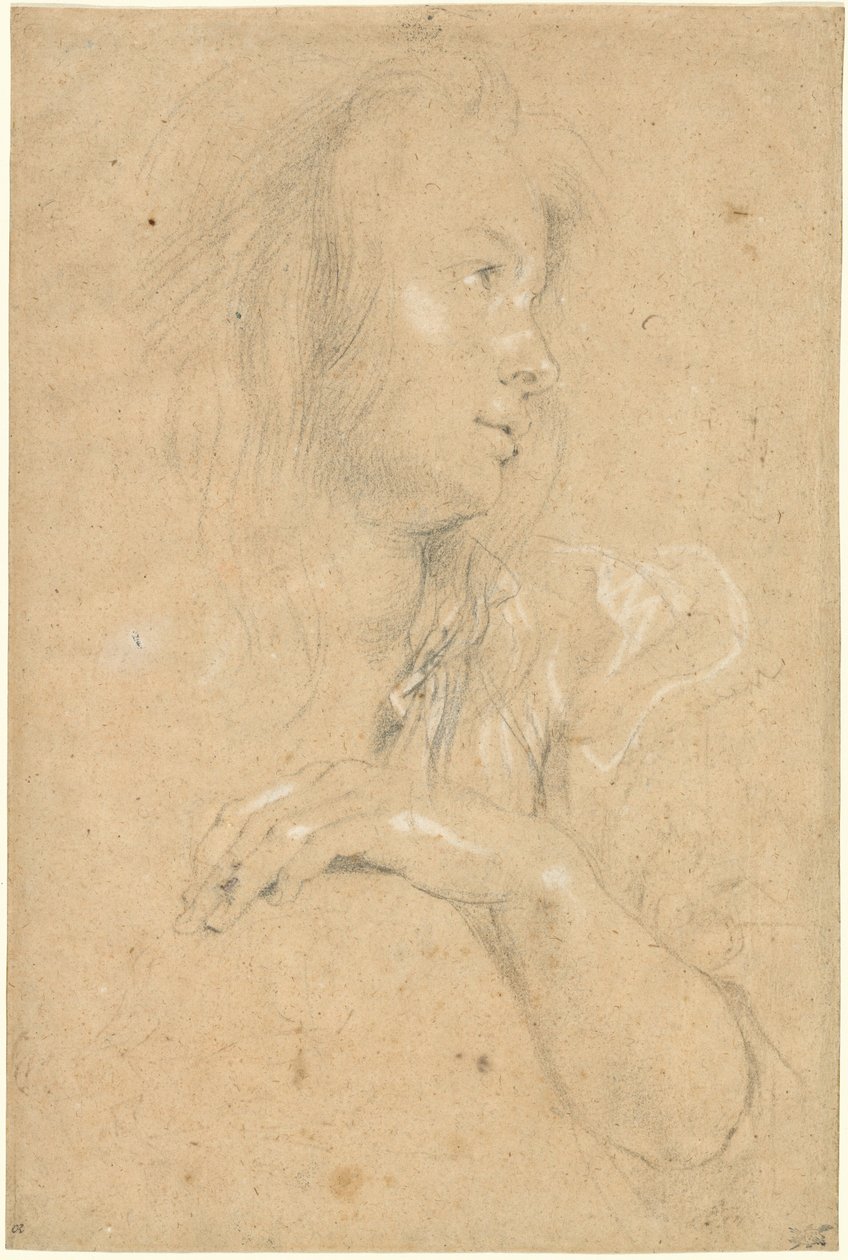 Ung kvinne i profil av Sir Peter Paul Rubens