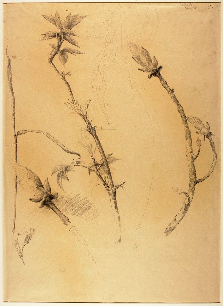  av Solon H. Borglum
