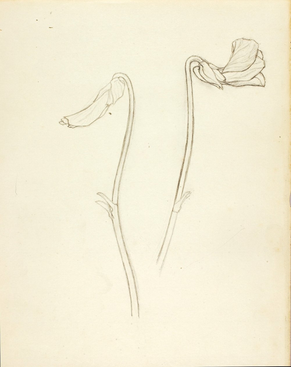  av Solon H. Borglum