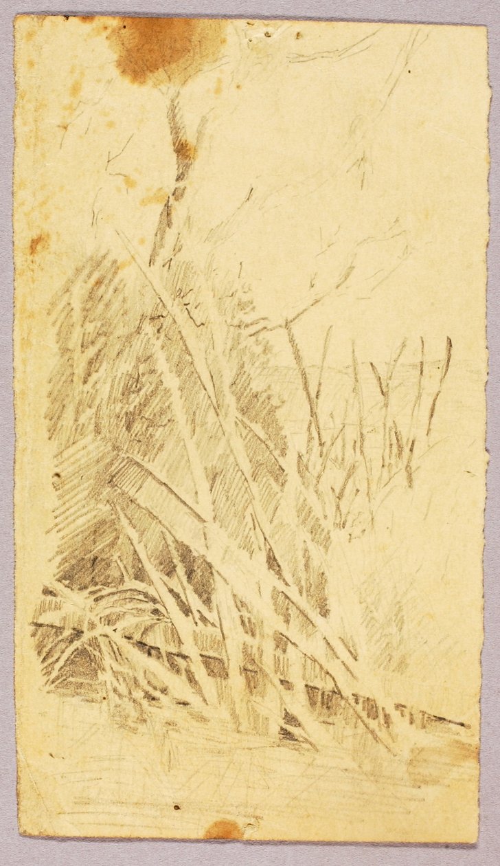  av Solon H. Borglum