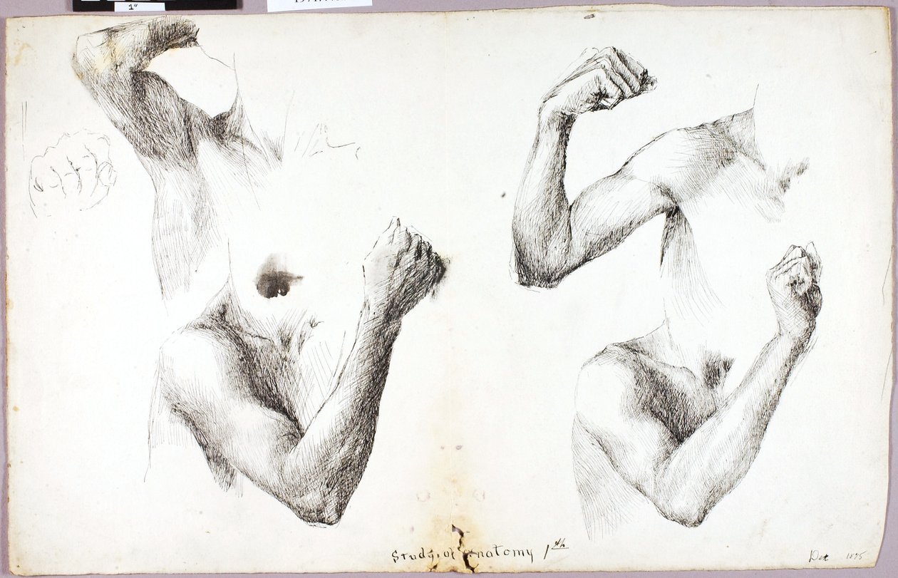  av Solon H. Borglum
