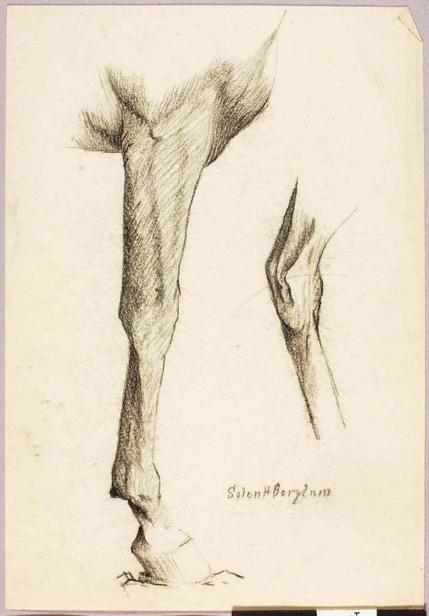  av Solon H. Borglum