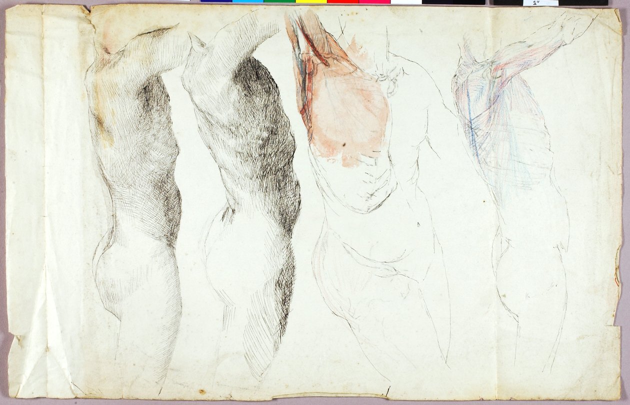 Nakenstudier av Solon H. Borglum