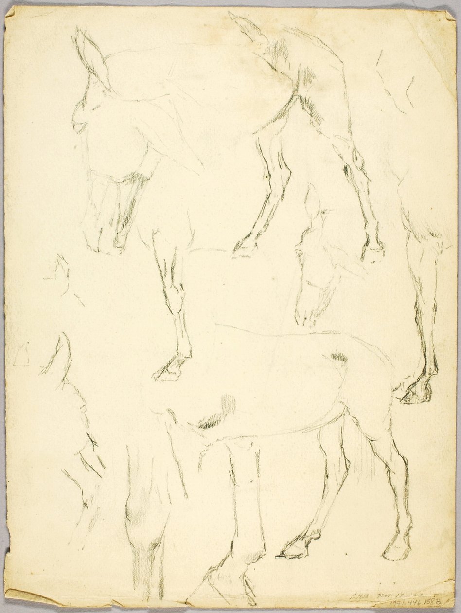  av Solon H. Borglum