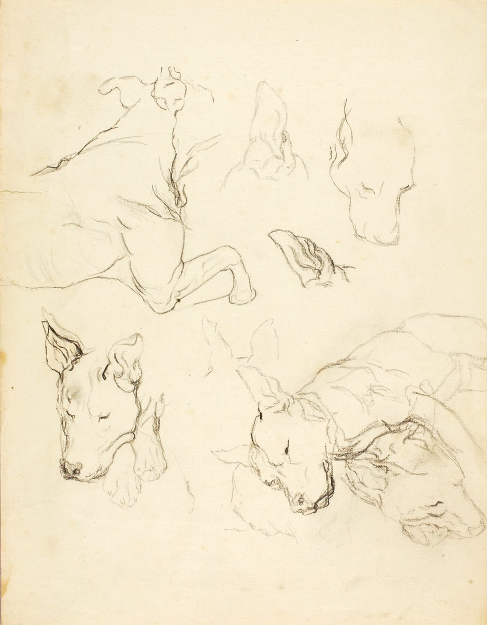  av Solon H. Borglum