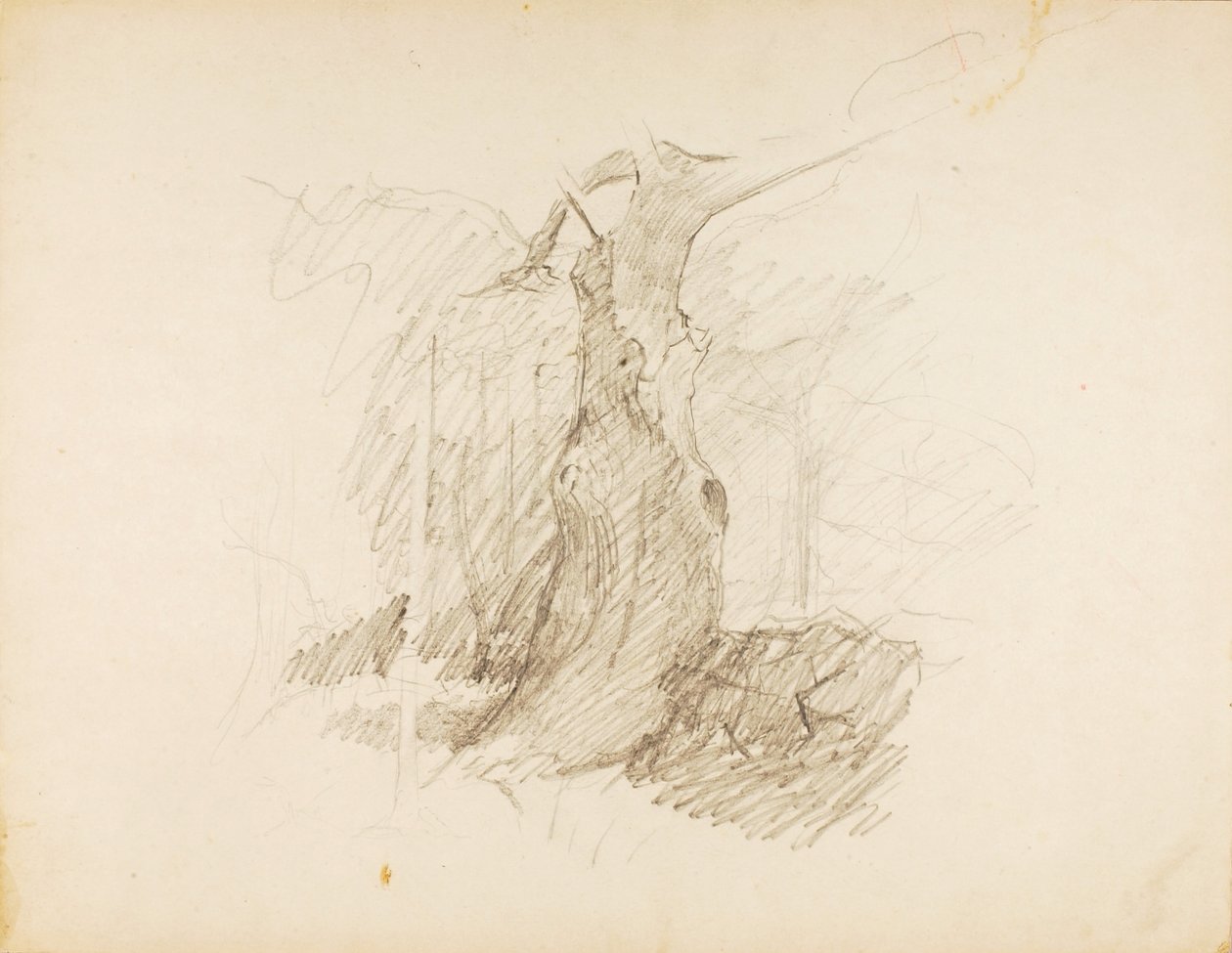 av Solon H. Borglum