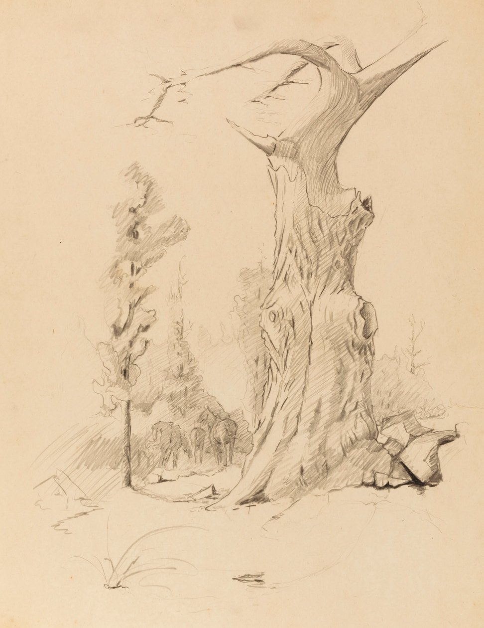  av Solon H. Borglum