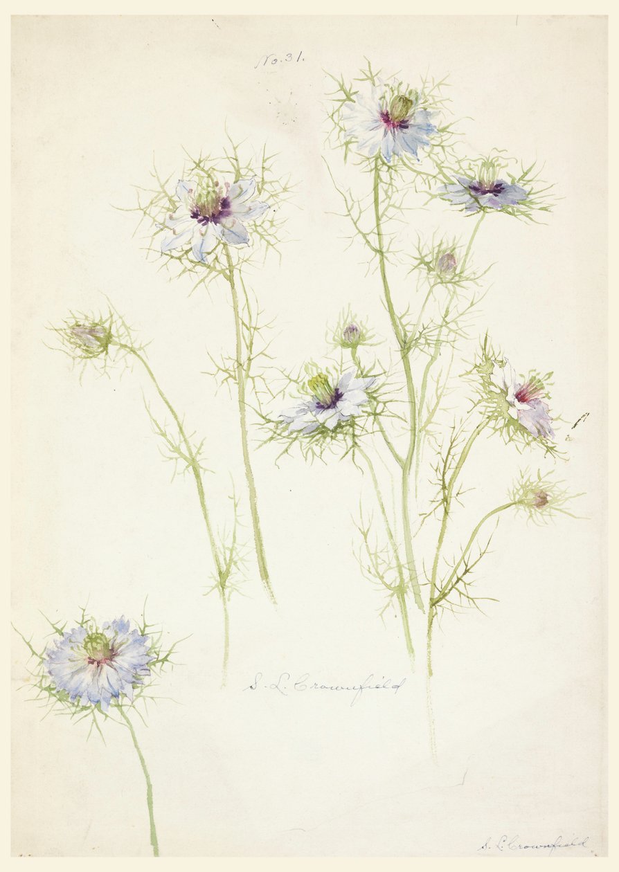  av Sophia L. Crownfield