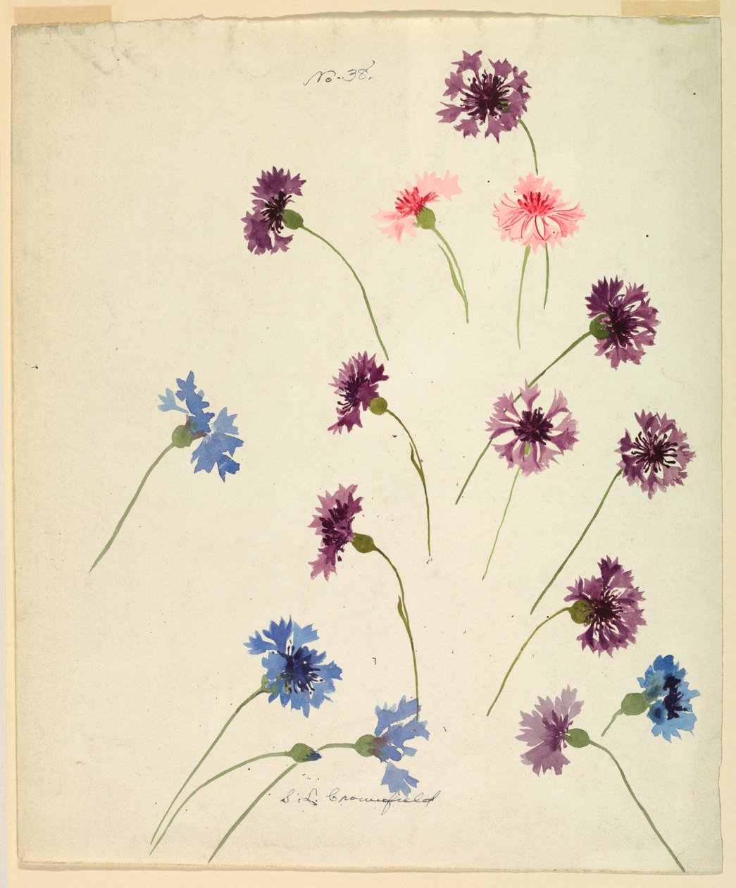  av Sophia L. Crownfield