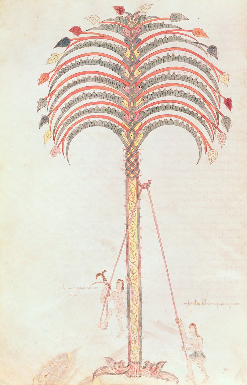 Fol.147v Metaforen om palmetreet, fra Girona Beatus av Spanish School