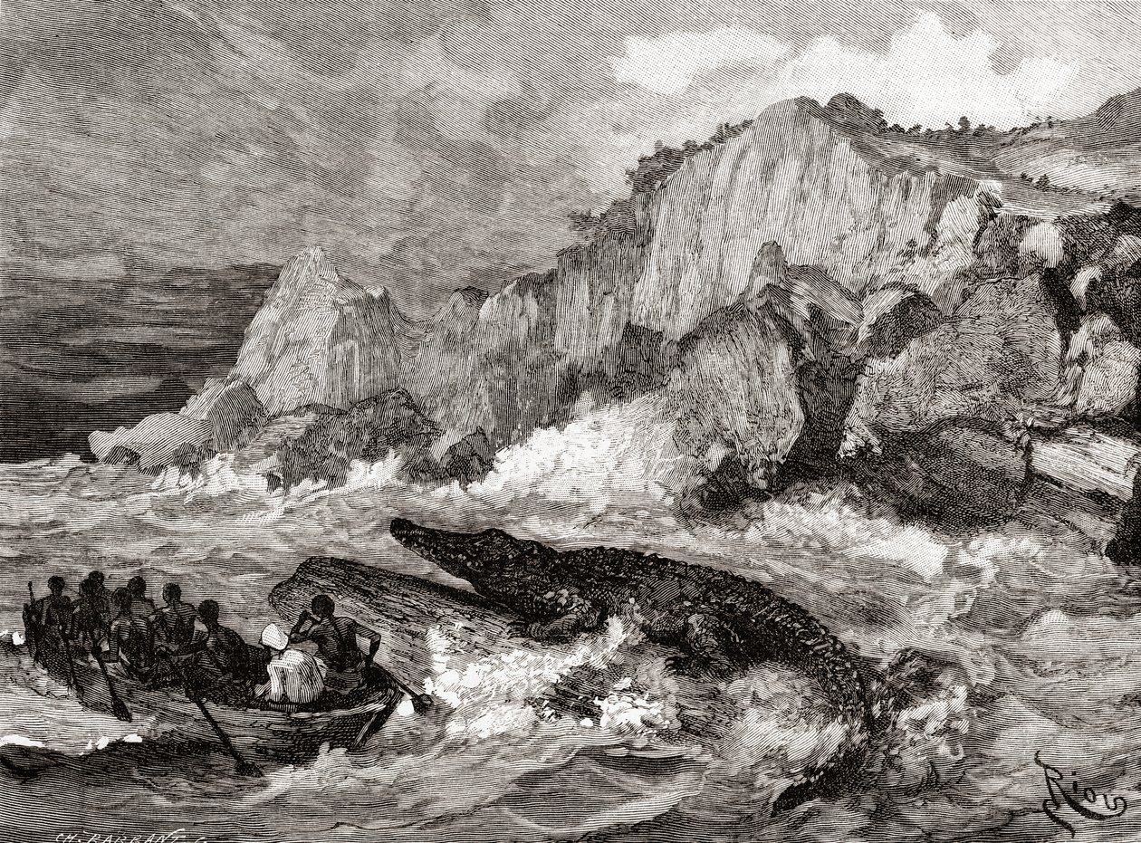 Kjempekrokodille truer en båt på Kongo-elven under en ekspedisjon fra 1800-tallet, fra 