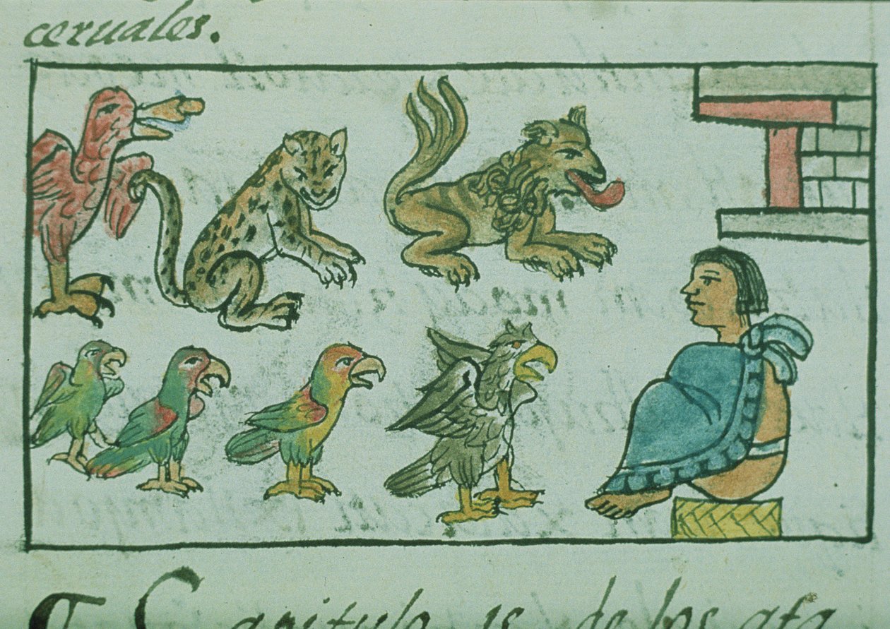 Fru Palat. 218-220 Bok IX Animals of the Aztec Emperor, fra 