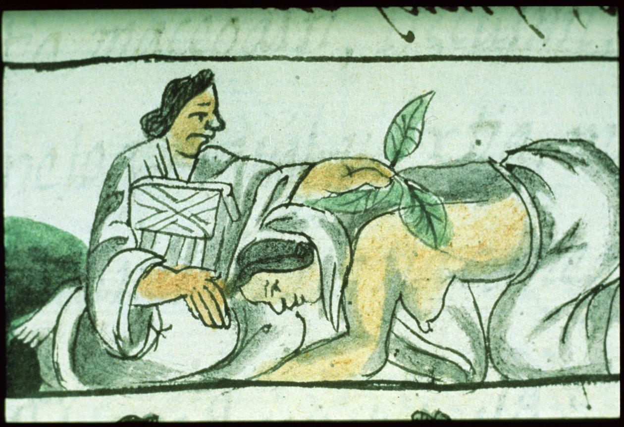 Fru Palat. 218-220 Bok IX Aztekisk jordmor som gir urter til en kvinne etter fødsel, fra 