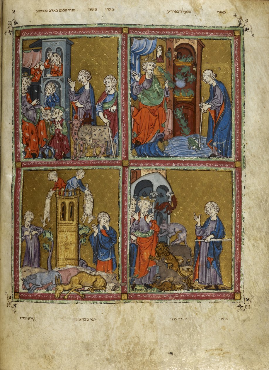 Legge til. 27210, f.12v Scener fra Exodus: Plagene med lus, frosker, murrain og pest, illustrasjoner fra 
