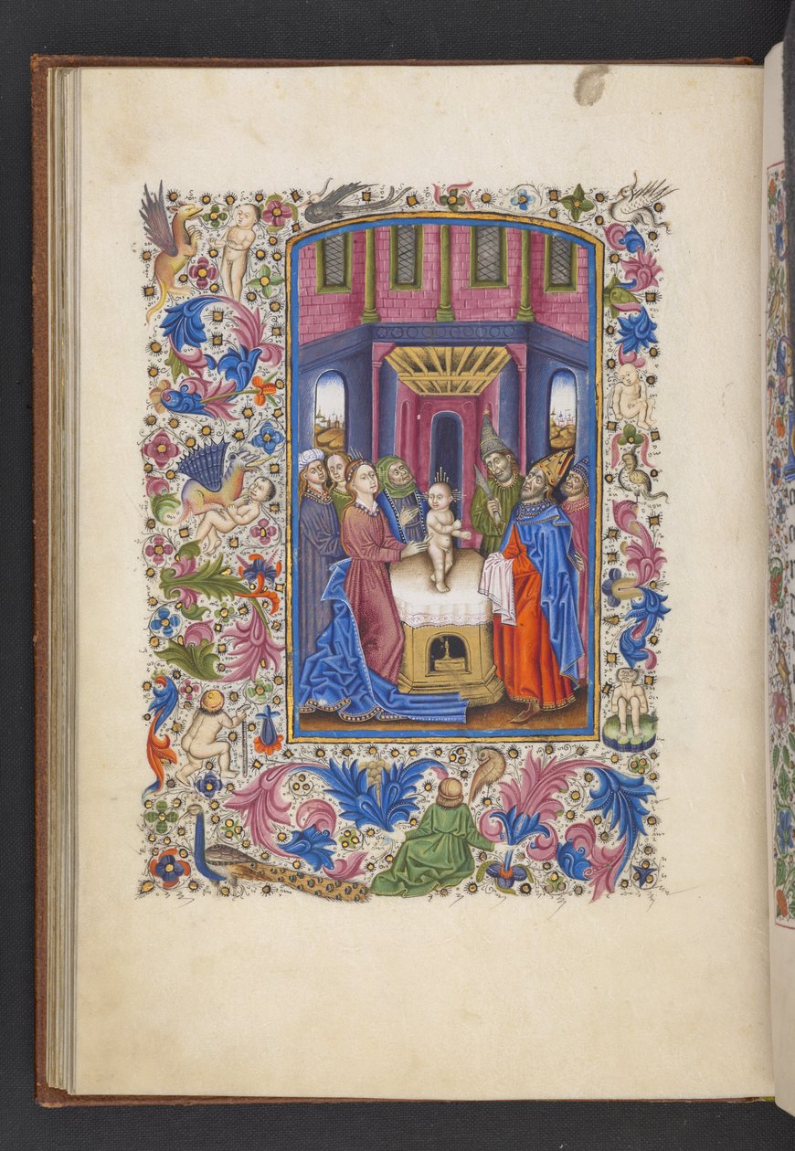 Legg til MS 50004 f.41v The Circumcision, fra en 
