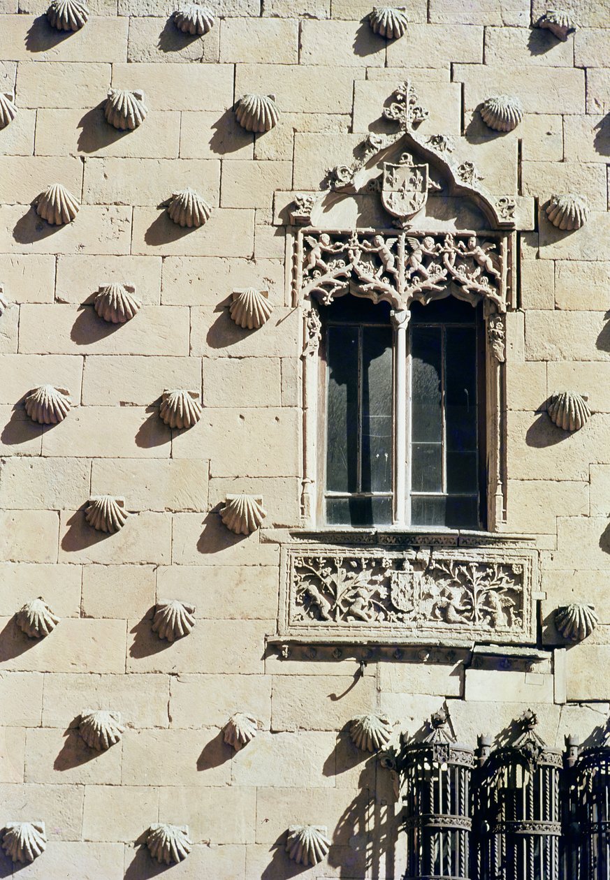 Detalj av utsiden av Casa de la Conchas (bilde) av Spanish School