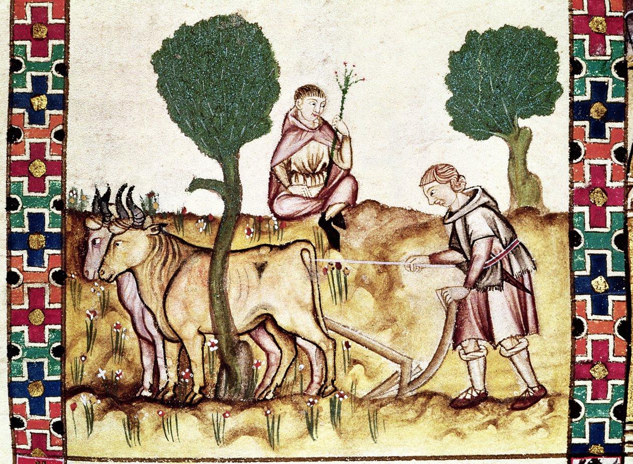 Fol.237r En bonde lærer sønnen å pløye en åker av Spanish School