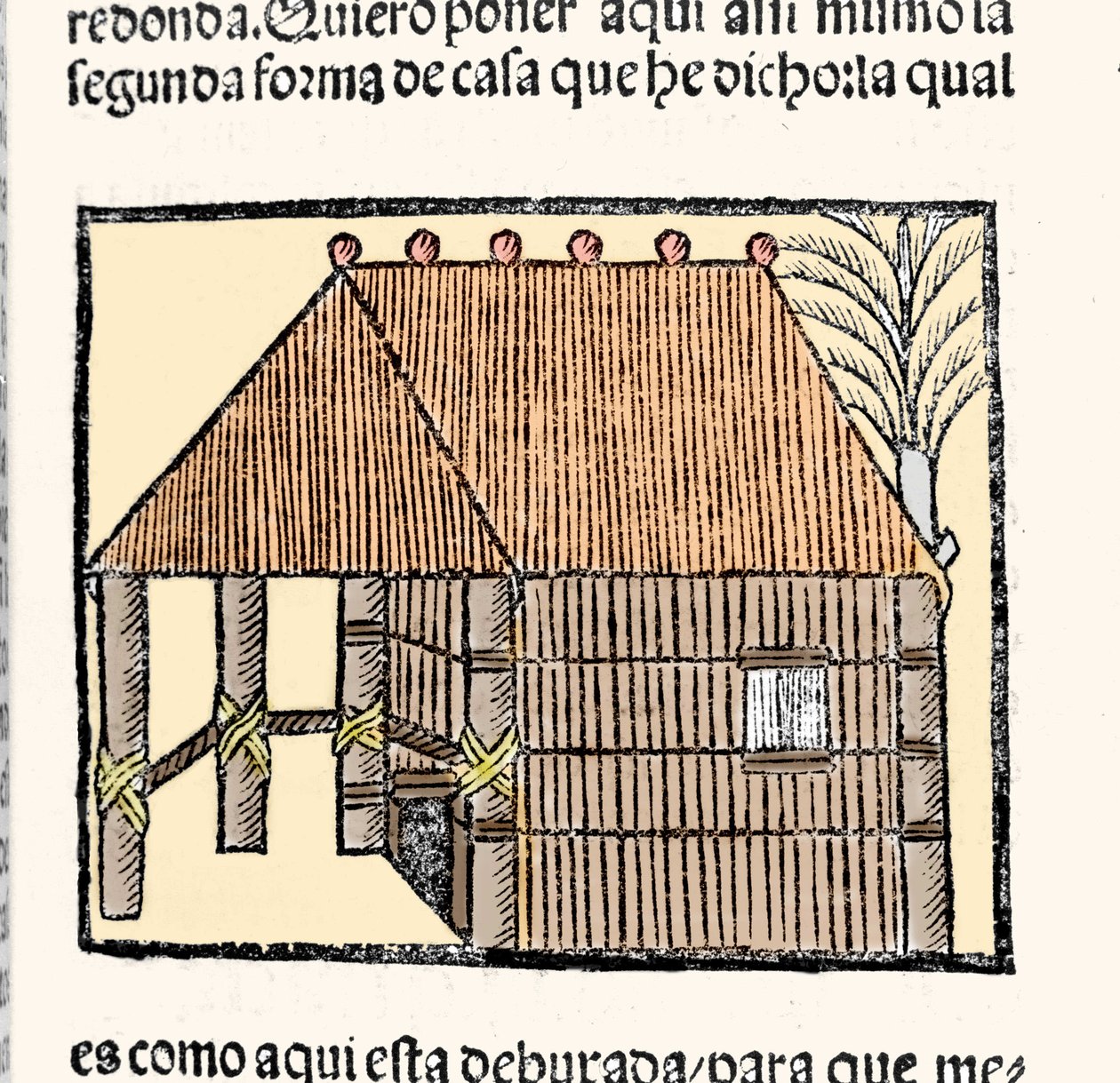 Habitat: beskrivelse av hytteindianerne. Gravering fra boken "General history of the Indias, islands and fastland of the ocean sea"" av Gonzalo Fernandez de Oviedo eller Hernandez de Oviedo y Valdes (1478-1557) av Spanish School