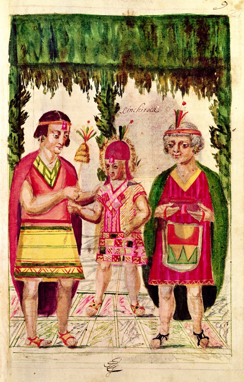 Illustrasjon av Cincheroca, fra 