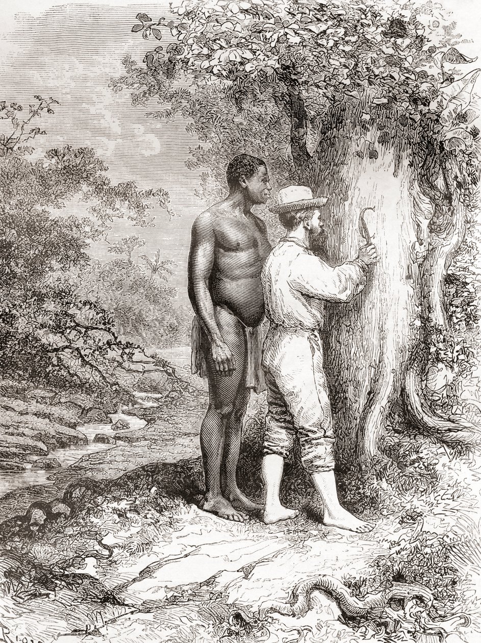 Jules Crevaux, under sin utforskning av Fransk Guyana i 1878, skåret initialene sine på et tre ved bredden av elven Oyapock eller Oiapoque av Spanish School