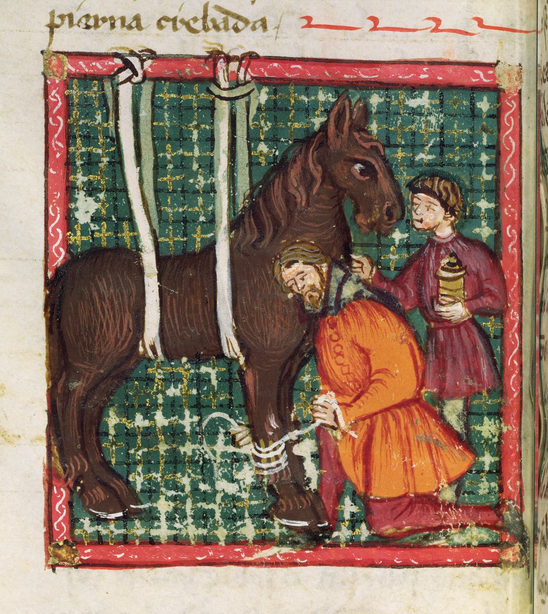 Ms 214 fol.31v Reparasjon av det frakturerte metacarpal av en hest, fra Libro de Menescalcia y Albeyteria av Juan Alvarez, ca. 1390 av Spanish School