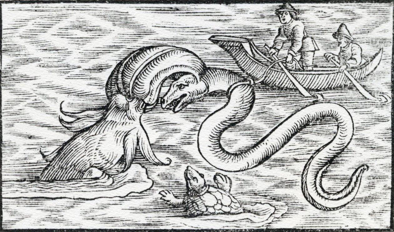 Sjømonstre, 1511 av Spanish School