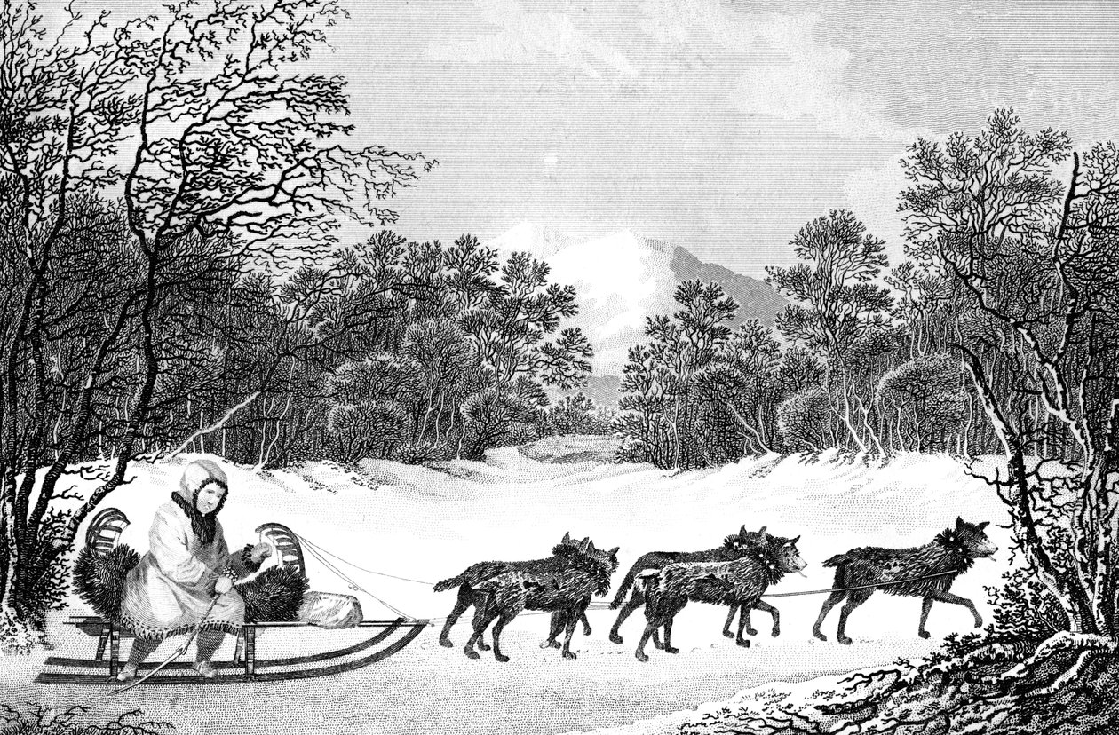 Måten å reise om vinteren i Kamtschatka, 1800-tallet. av Sparrow
