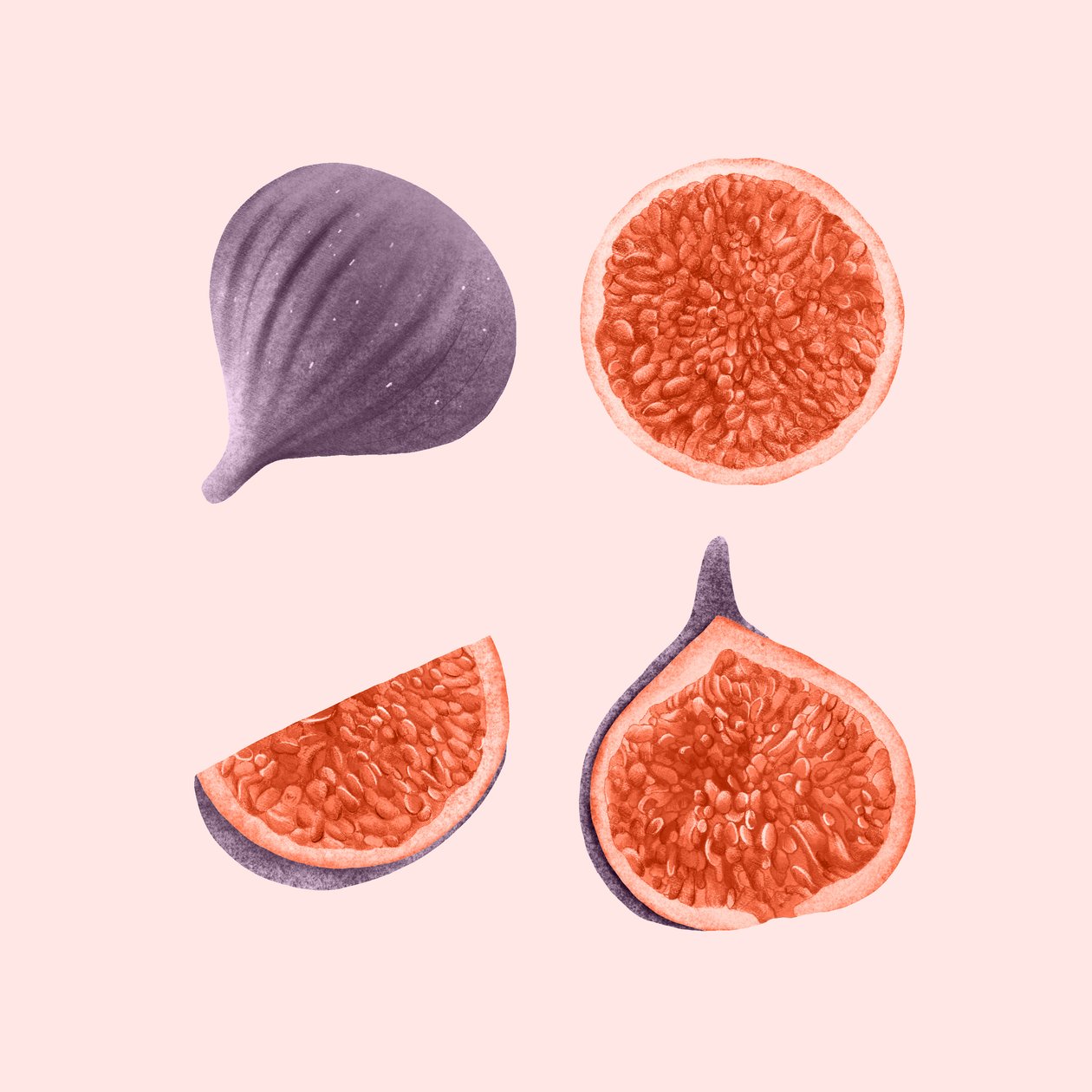 Figs, 2021 (grafittblyant og digital) av Stacy Hsu