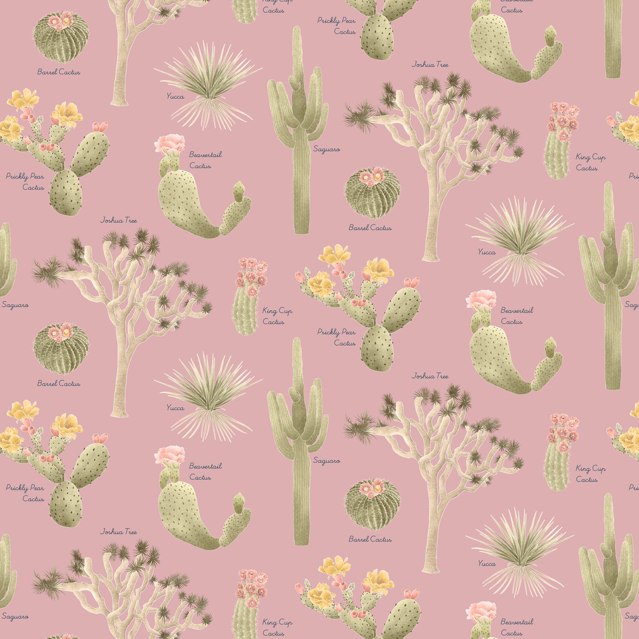 Mojave Desert Cacti-mønster, 2021 (grafittblyant og digital) av Stacy Hsu