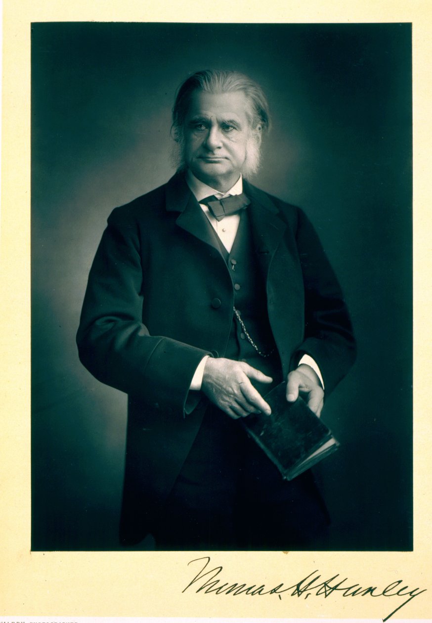 Professor Thomas H. Huxley (1825-95), biolog, portrettfotografi av Stanislaus Walery