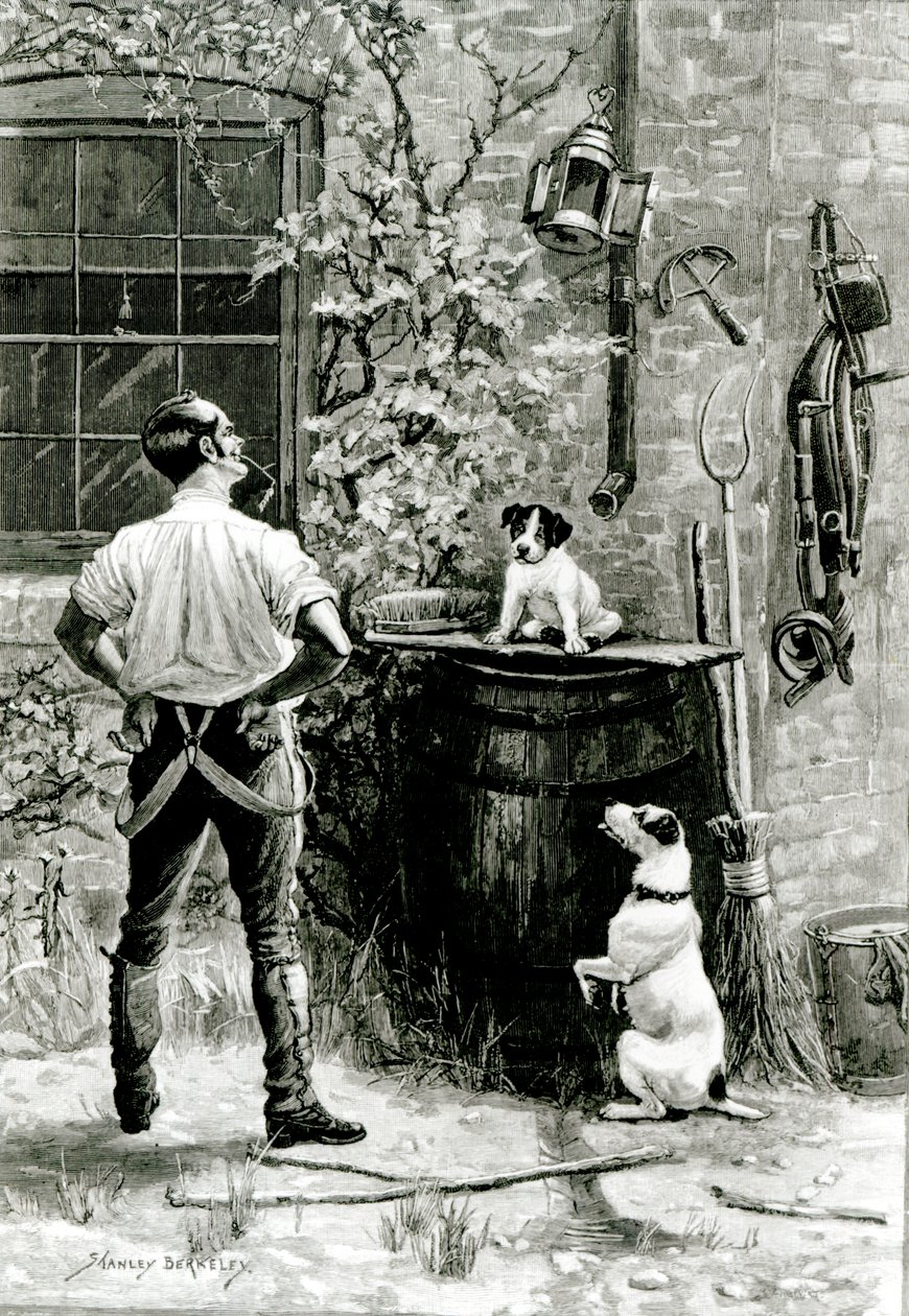 The Survival of the Fittest av Stanley Berkeley