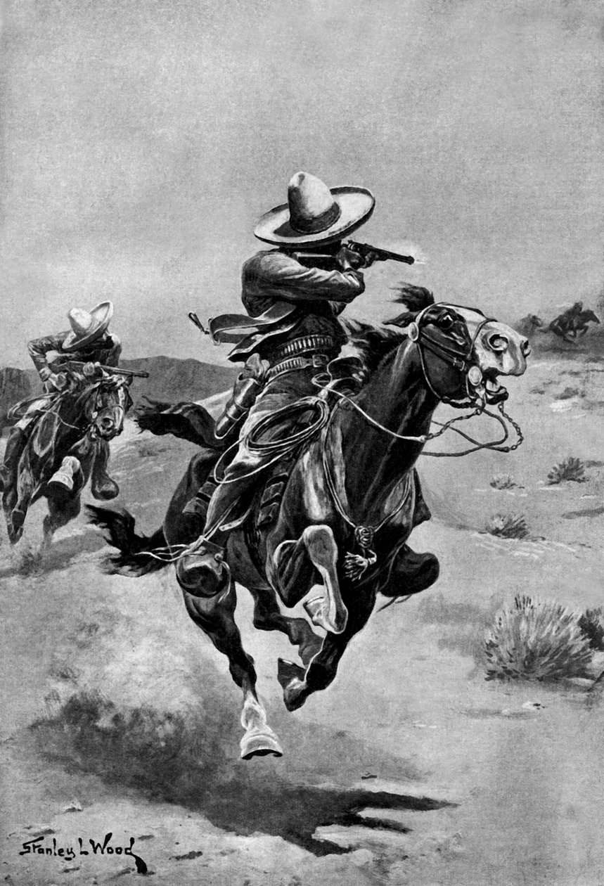 National Frontier Police of Mexico av Stanley L. Wood