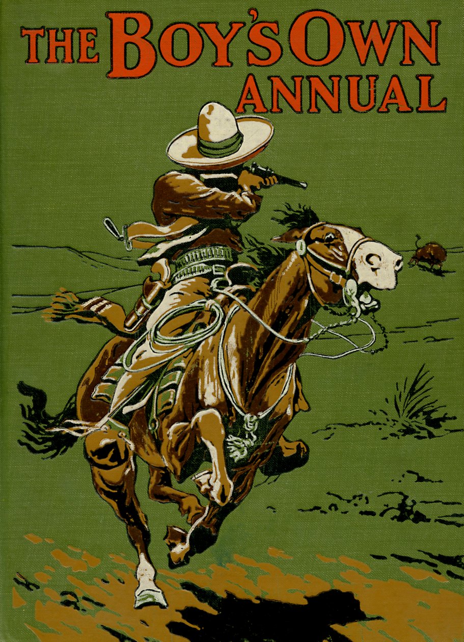National Frontier Police of Mexico av Stanley L. Wood