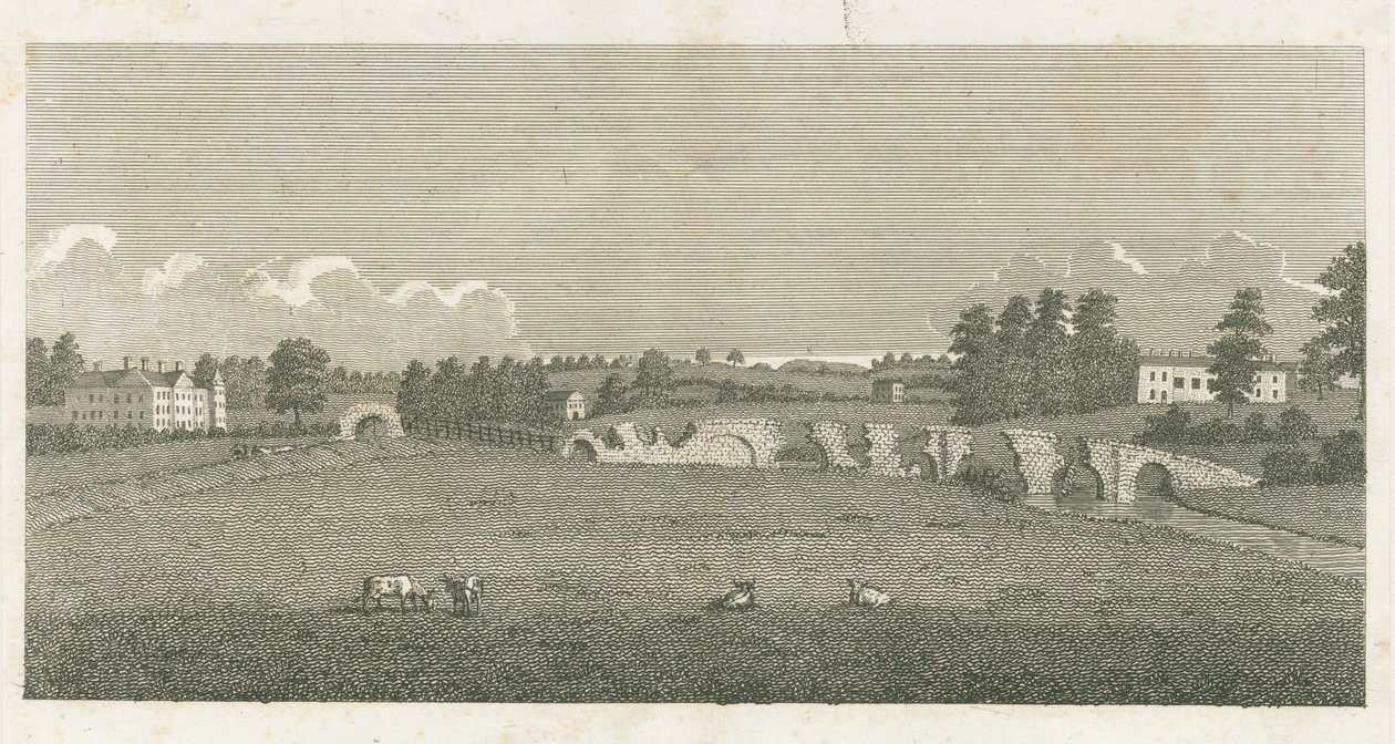 Wolseley Bridge: gravering av Stebbing Shaw