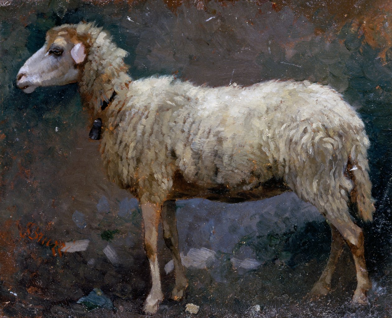 Sau i profil, maleri av Stefano Bruzzi (1835-1911), olje på papp av Stefano Bruzzi