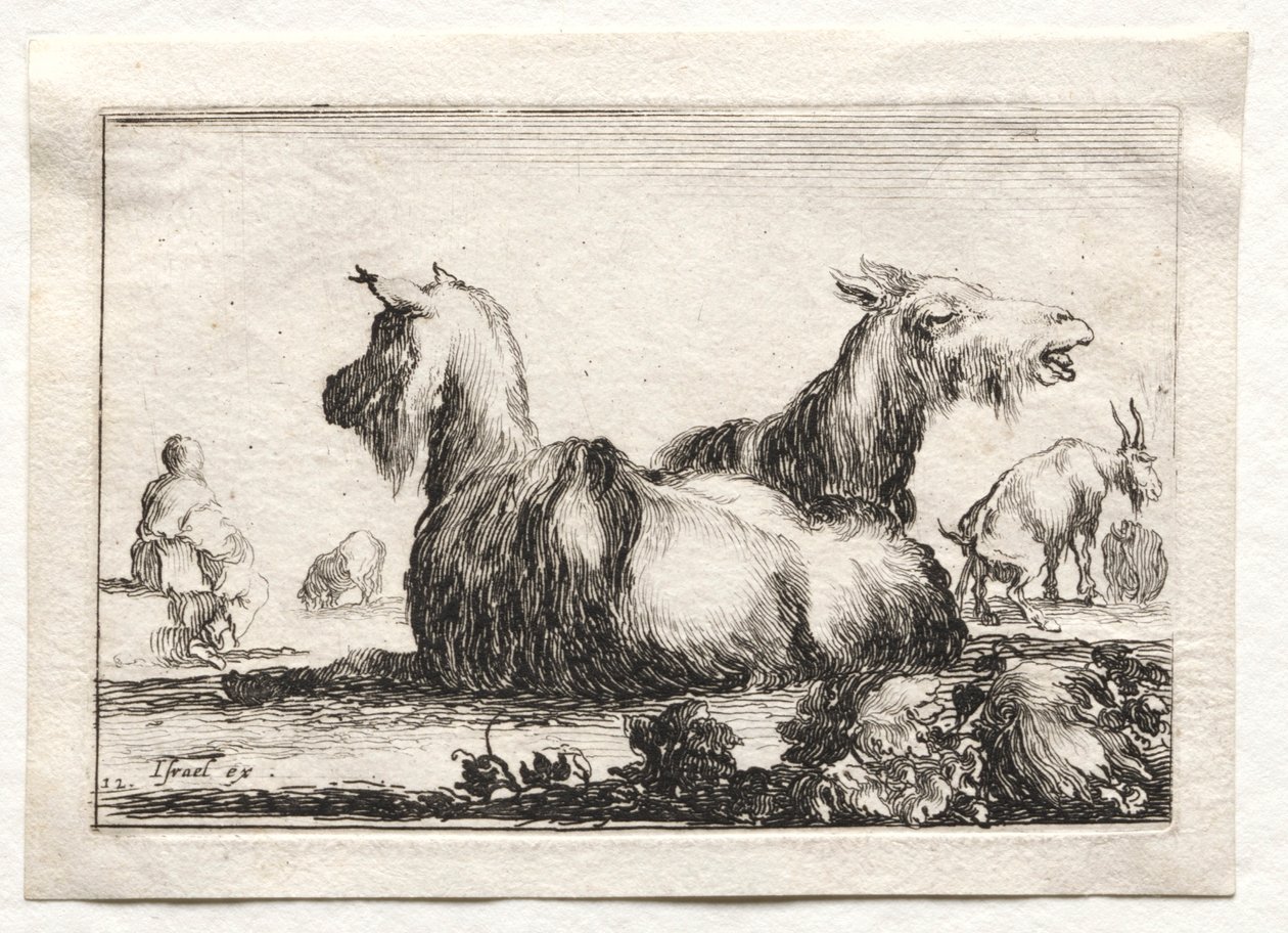 Caprices: To geiter. av Stefano della Bella