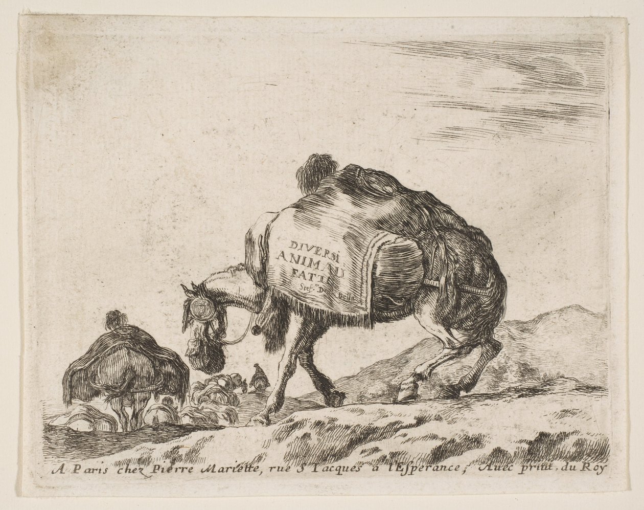 Frontispice for forskjellige dyr: Pakkehest, ca. 1641. av Stefano della Bella