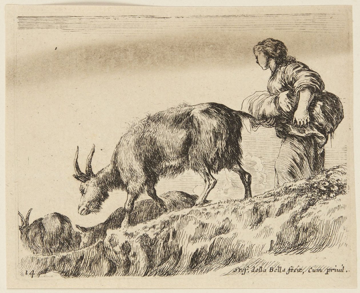 Geiter (Forskjellige dyr, 14) av Stefano della Bella