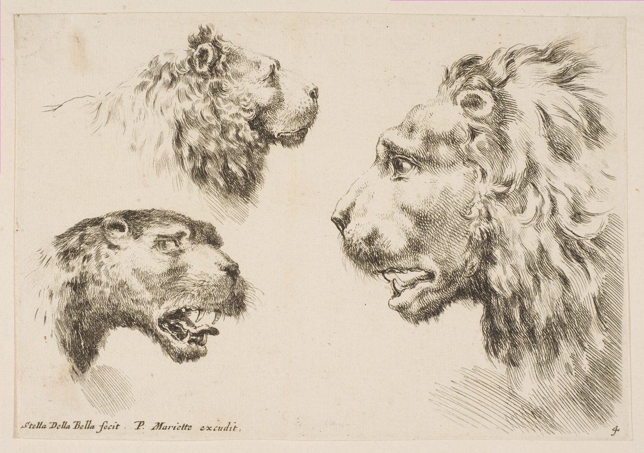 Hoder til tre løver, ca. 1641. av Stefano della Bella