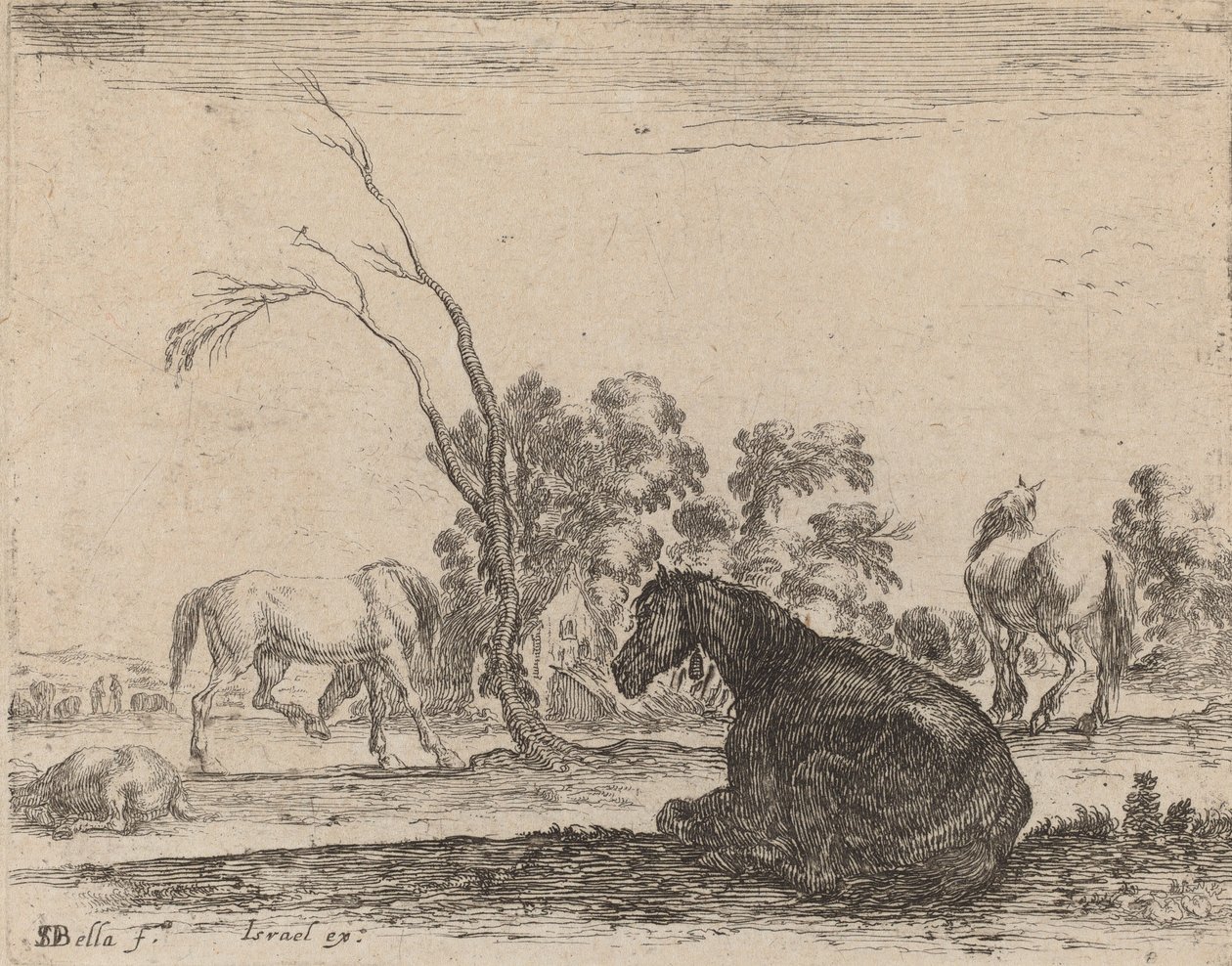 Hester i et beite, 1642. av Stefano della Bella
