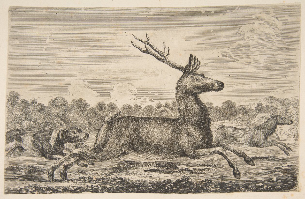Hunder som jager en hjort og en doe, ca. 1654. av Stefano della Bella