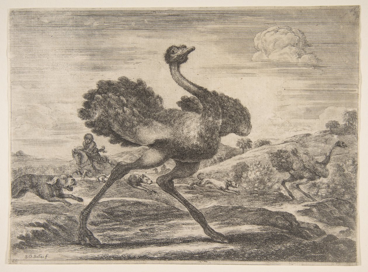 Strutsjakt, fra Animal hunts Jakt på forskjellige dyr, ca. 1654. av Stefano della Bella