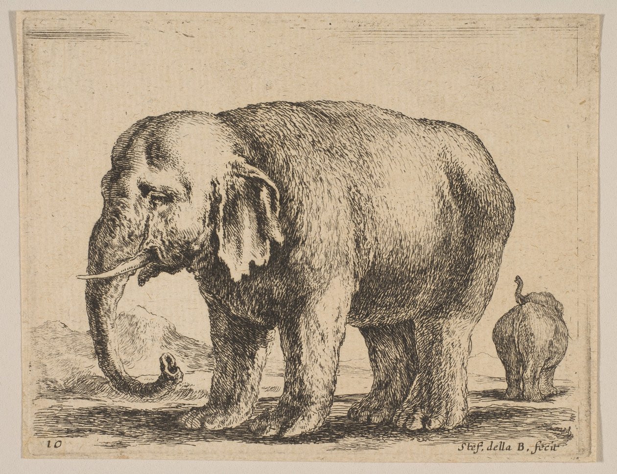 Plate 10: elefant, fra Diverse dyr Diversi animali, ca. 1641. av Stefano della Bella