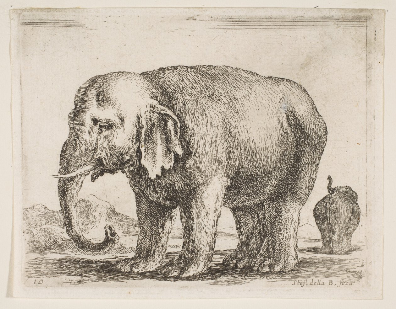 Plate 10: elefant, fra Diverse dyr Diversi animali, ca. 1641. av Stefano della Bella