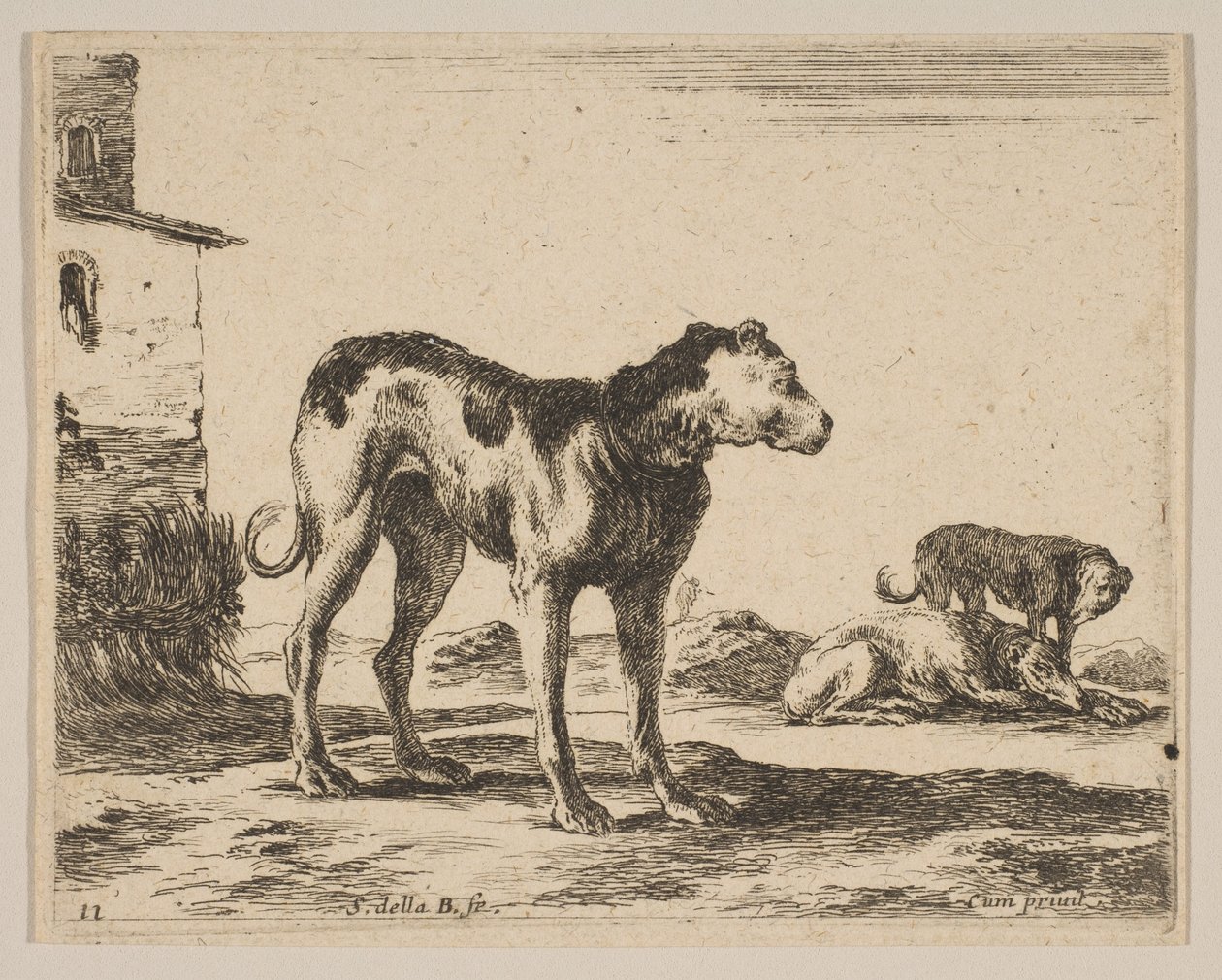 Plate 11: hunder, fra Diverse dyr Diversi animali, ca. 1641. av Stefano della Bella