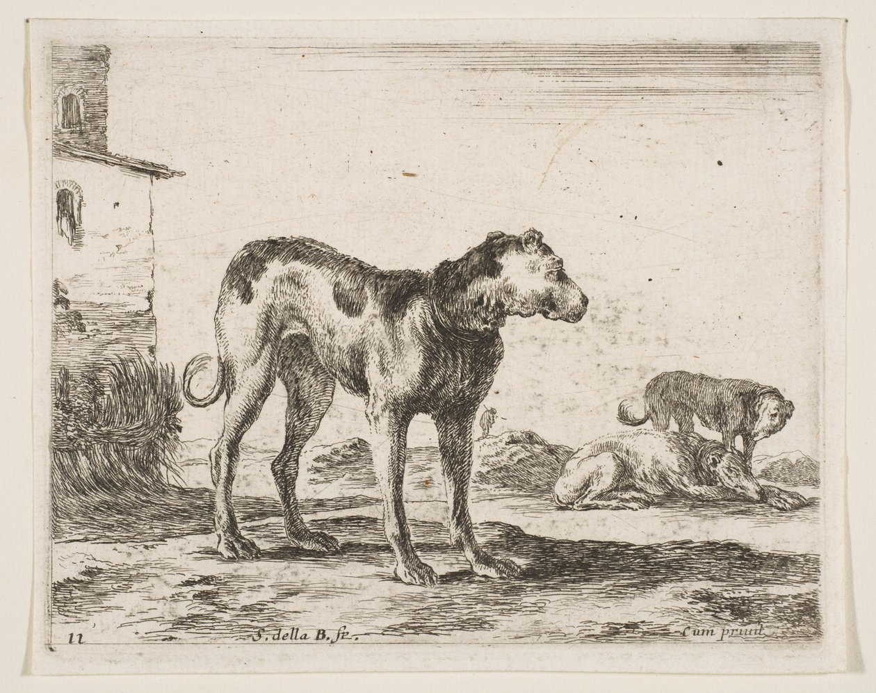 Plate 11: hunder, fra Diverse dyr Diversi animali, ca. 1641. av Stefano della Bella